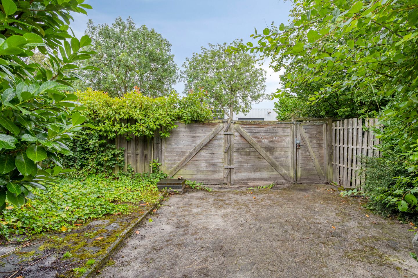 Foto 34 van Roegoorn 14