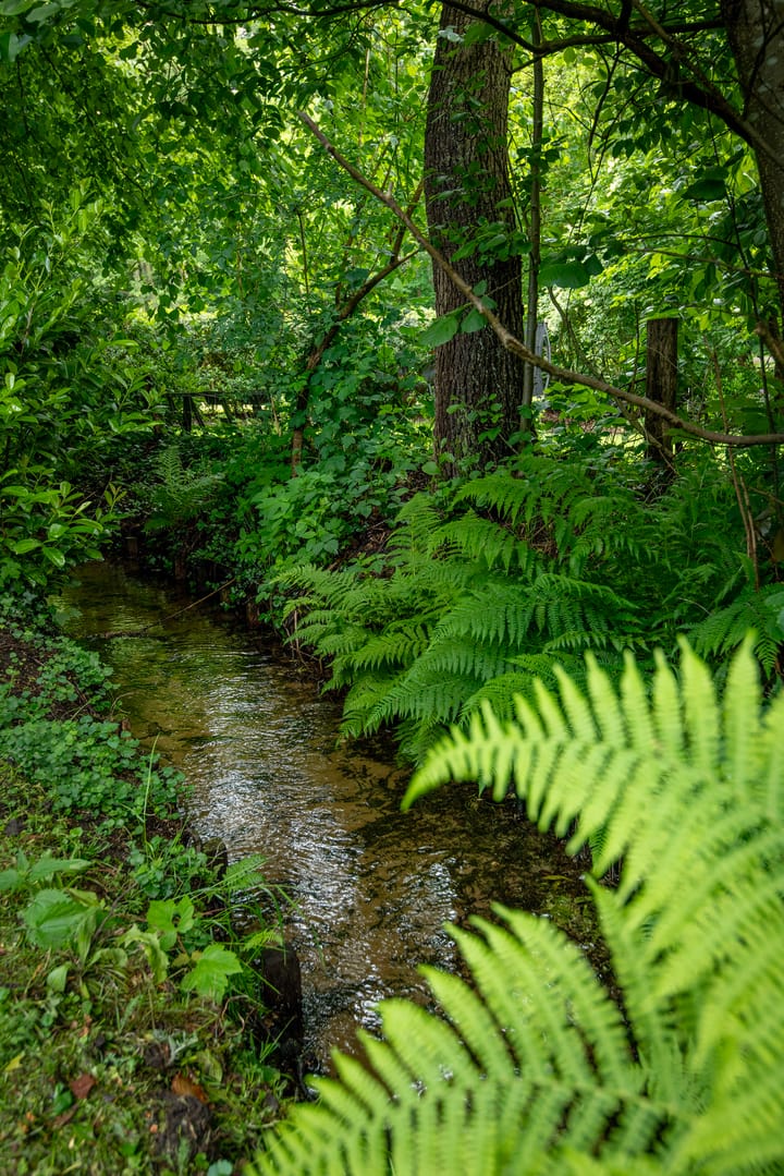 Photo 40 of Hoenderloseweg 145-B