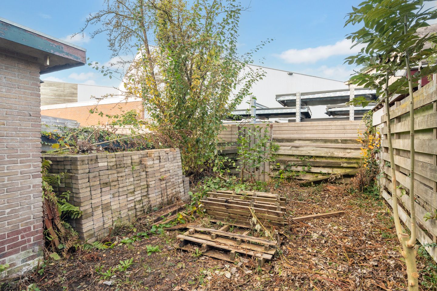 Foto 25 van P. Zeemanstraat 19