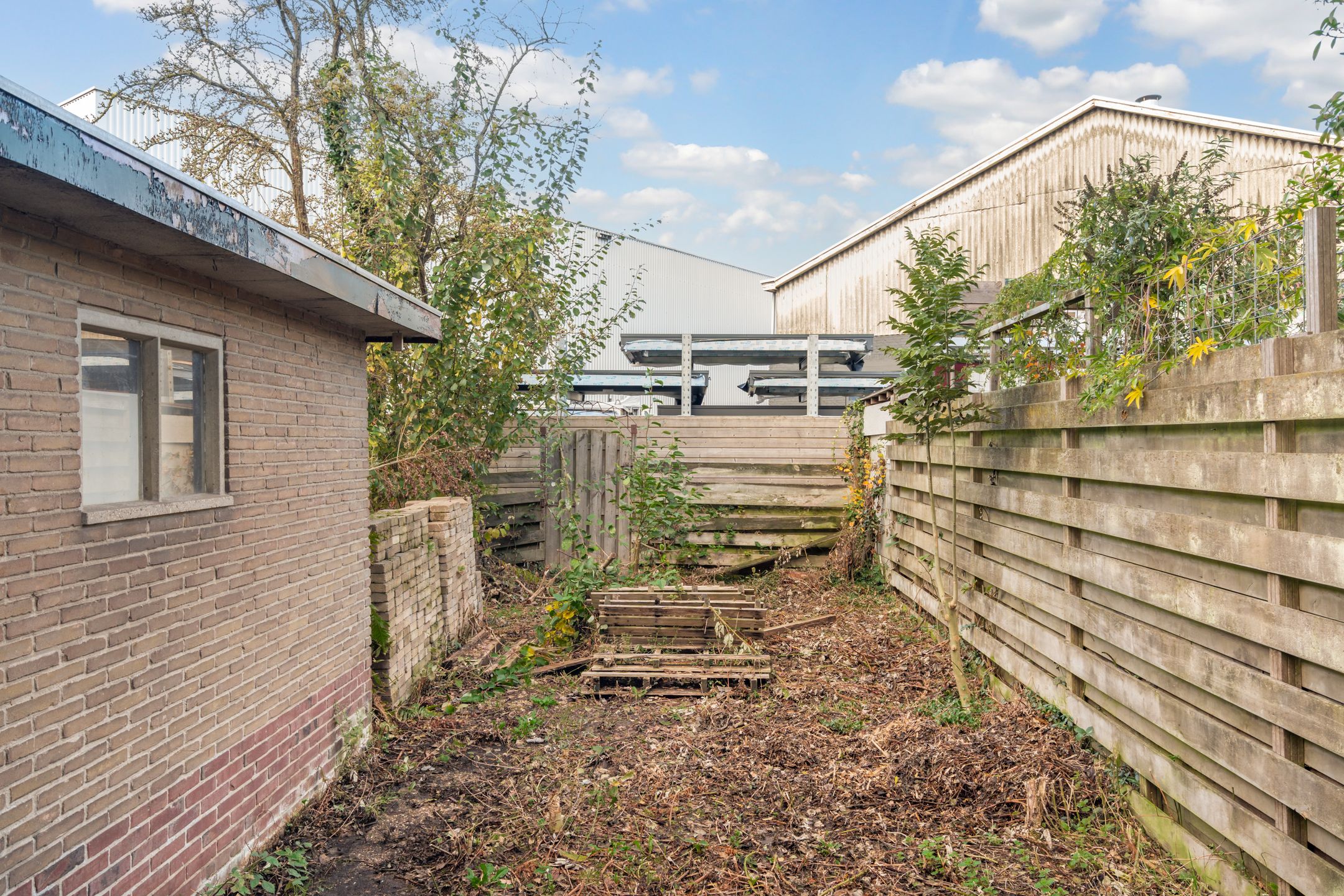 Foto 24 van P. Zeemanstraat 19