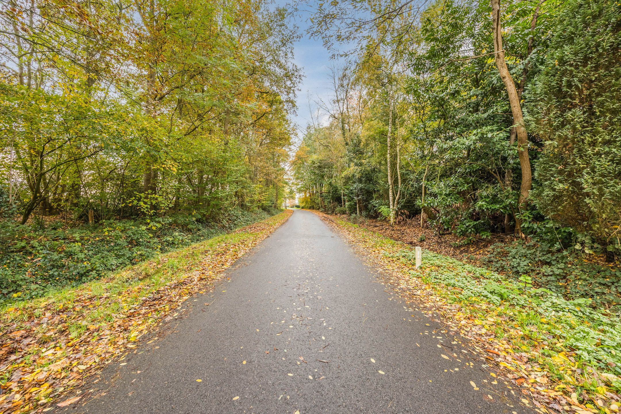 Photo 78 of Heinsbergsestraat 8