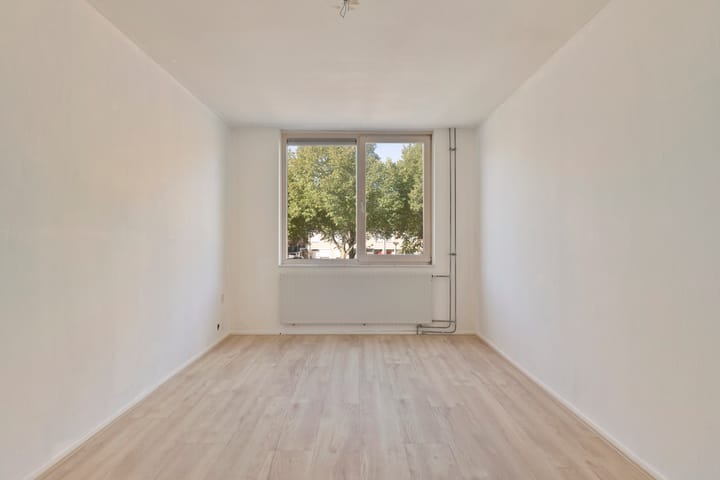 Foto 20 van Ruigewerve 19