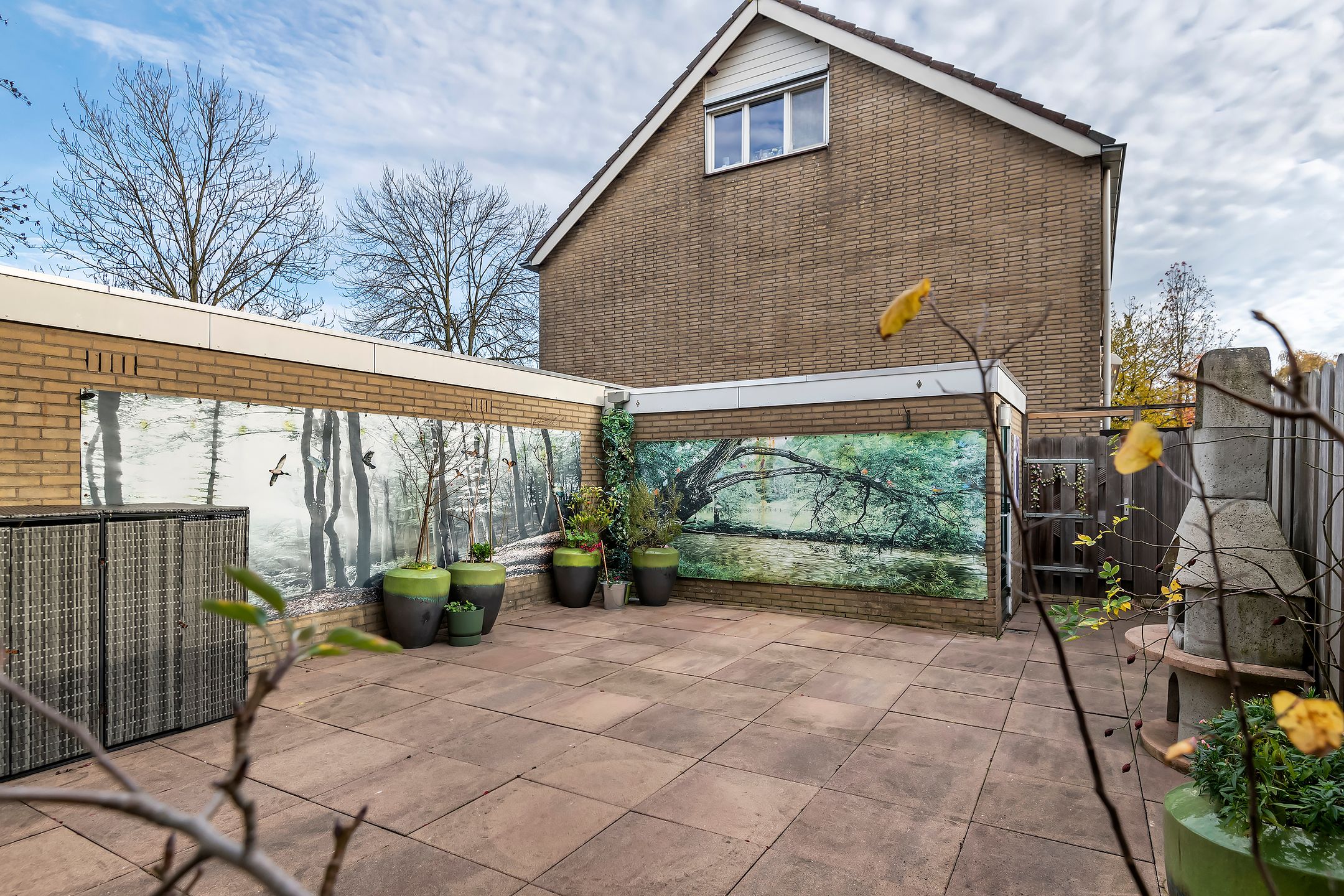 Photo 3 of Pruimeboom 2