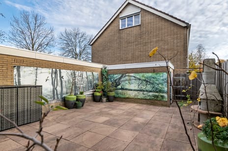 Pruimeboom 2 secondary image