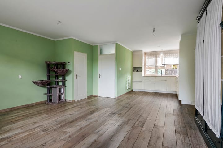 Photo 5 of Pruimeboom 2