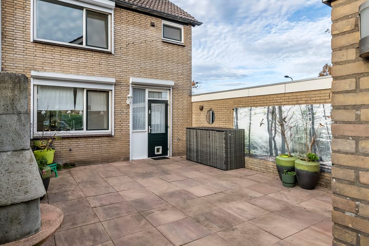 Photo 7 of Pruimeboom 2