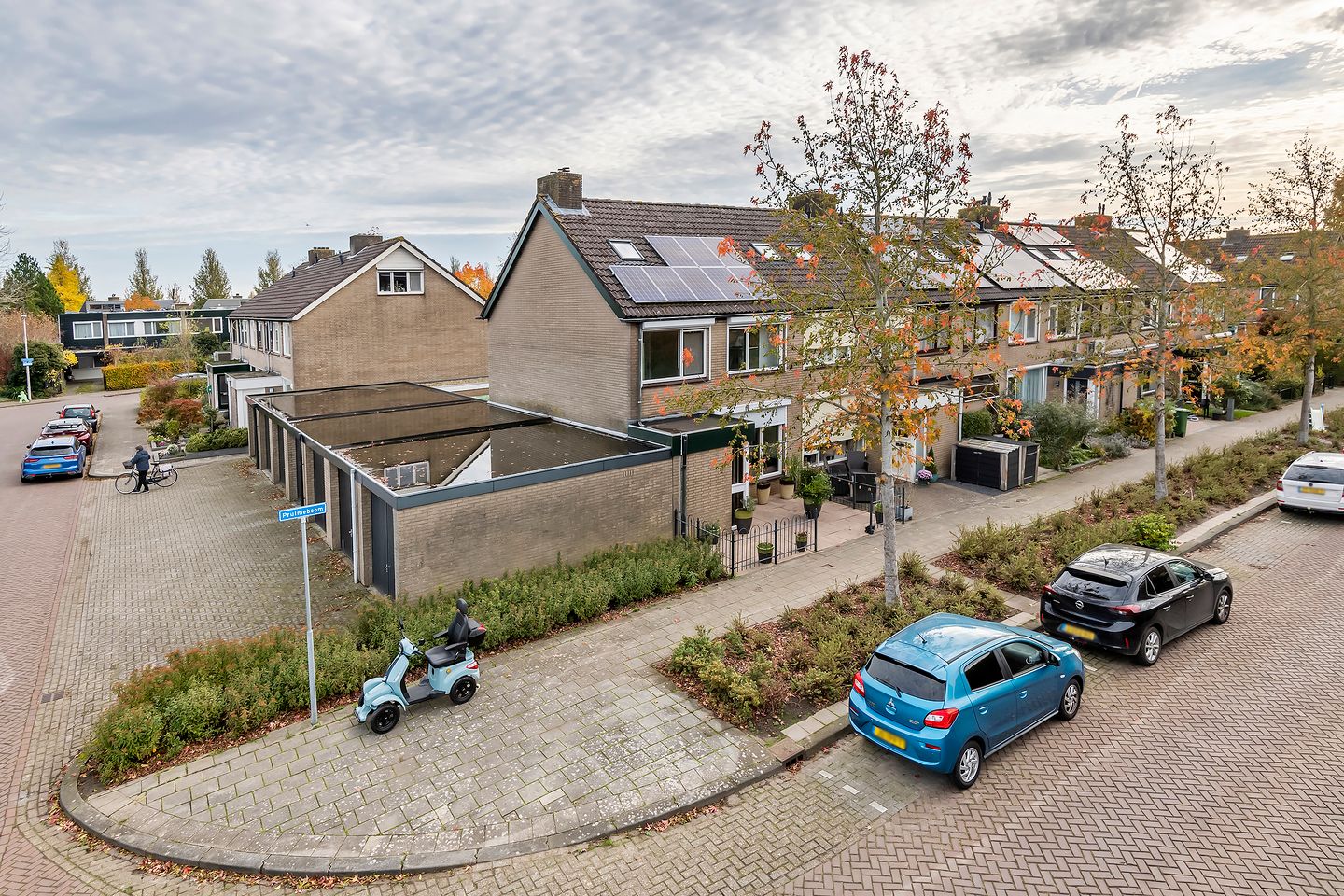 Photo 1 of Pruimeboom 2