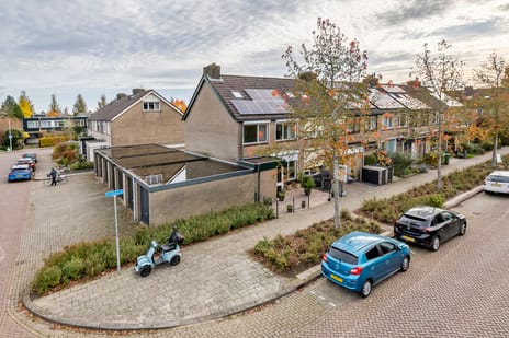 Pruimeboom thumbnail