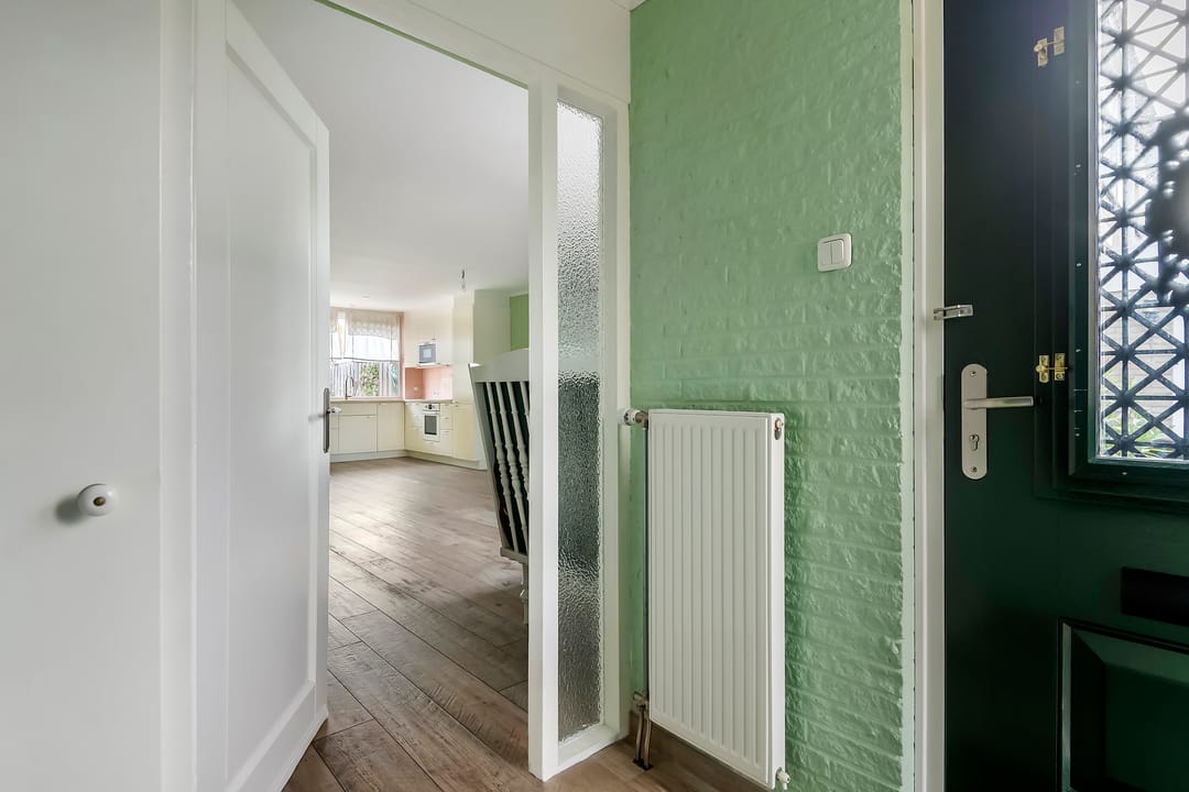 Photo 8 of Pruimeboom 2