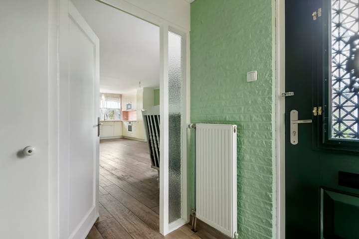 Photo 8 of Pruimeboom 2