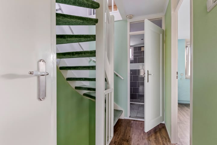 Photo 16 of Pruimeboom 2