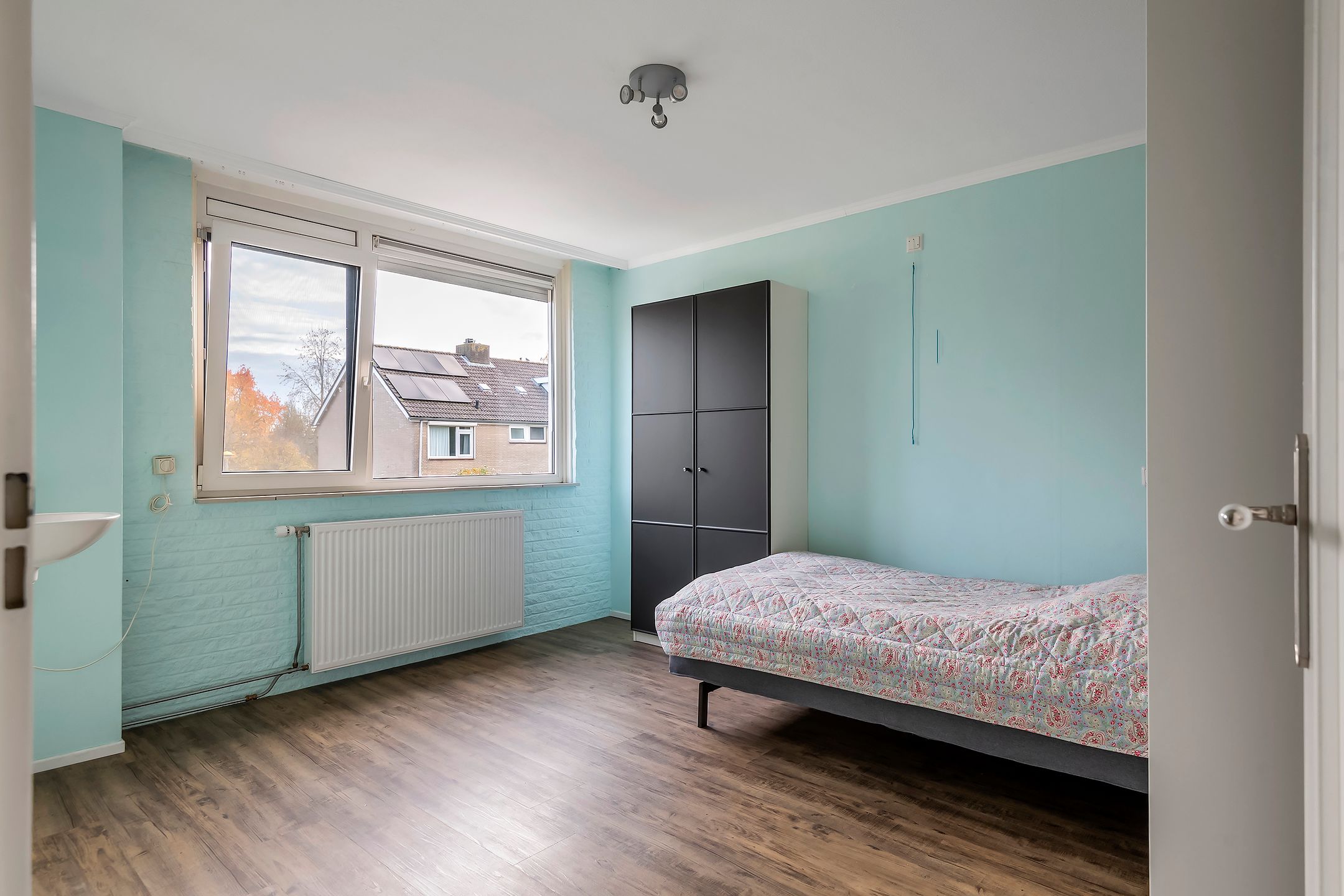 Photo 18 of Pruimeboom 2