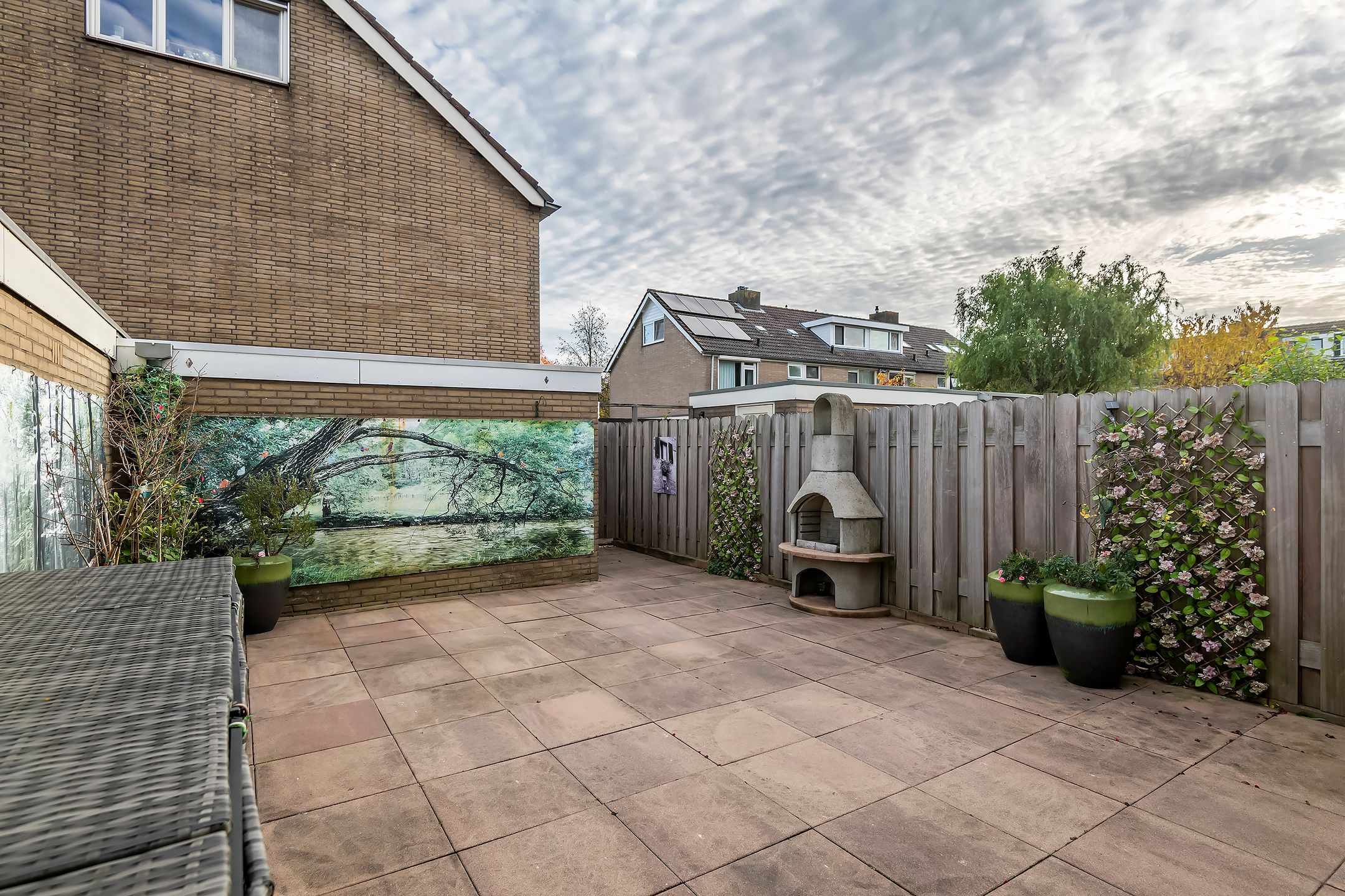 Photo 21 of Pruimeboom 2