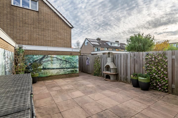 Photo 21 of Pruimeboom 2