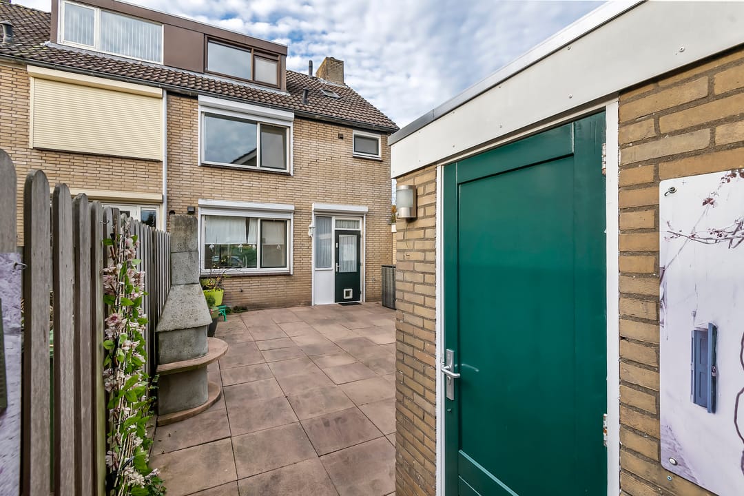 Photo 22 of Pruimeboom 2