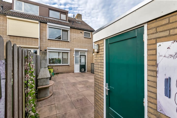 Photo 22 of Pruimeboom 2