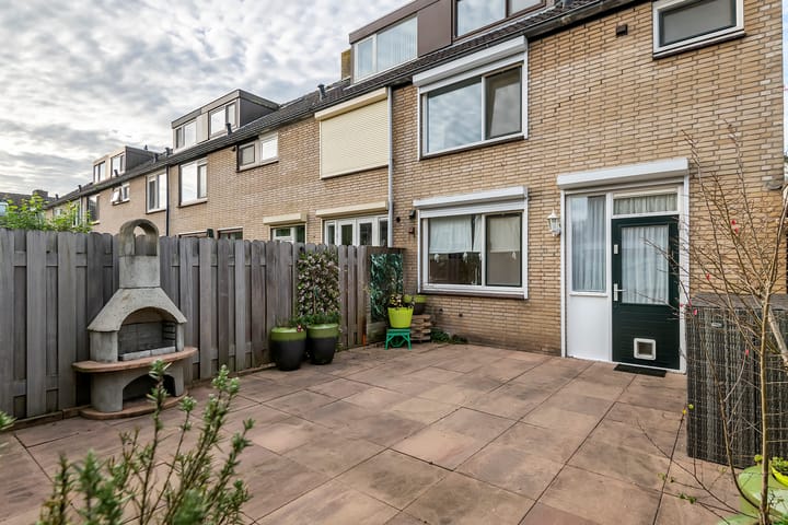 Photo 23 of Pruimeboom 2