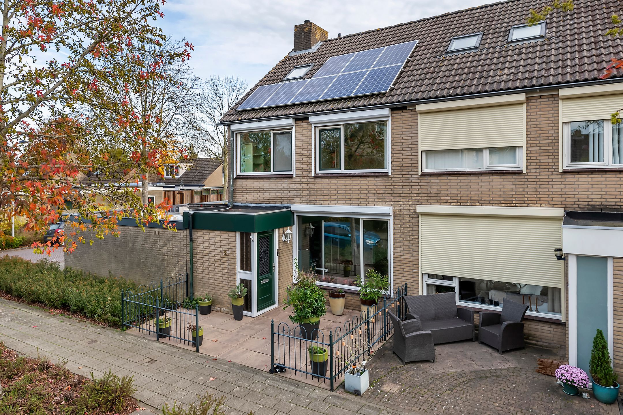 Photo 24 of Pruimeboom 2