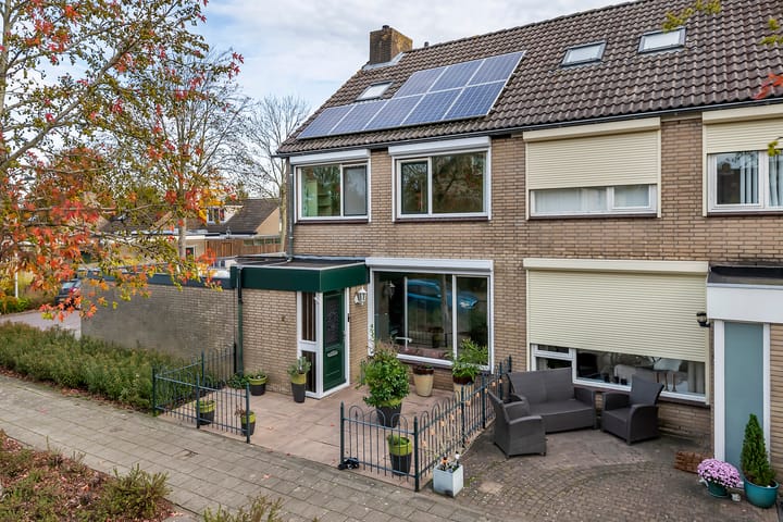 Photo 24 of Pruimeboom 2