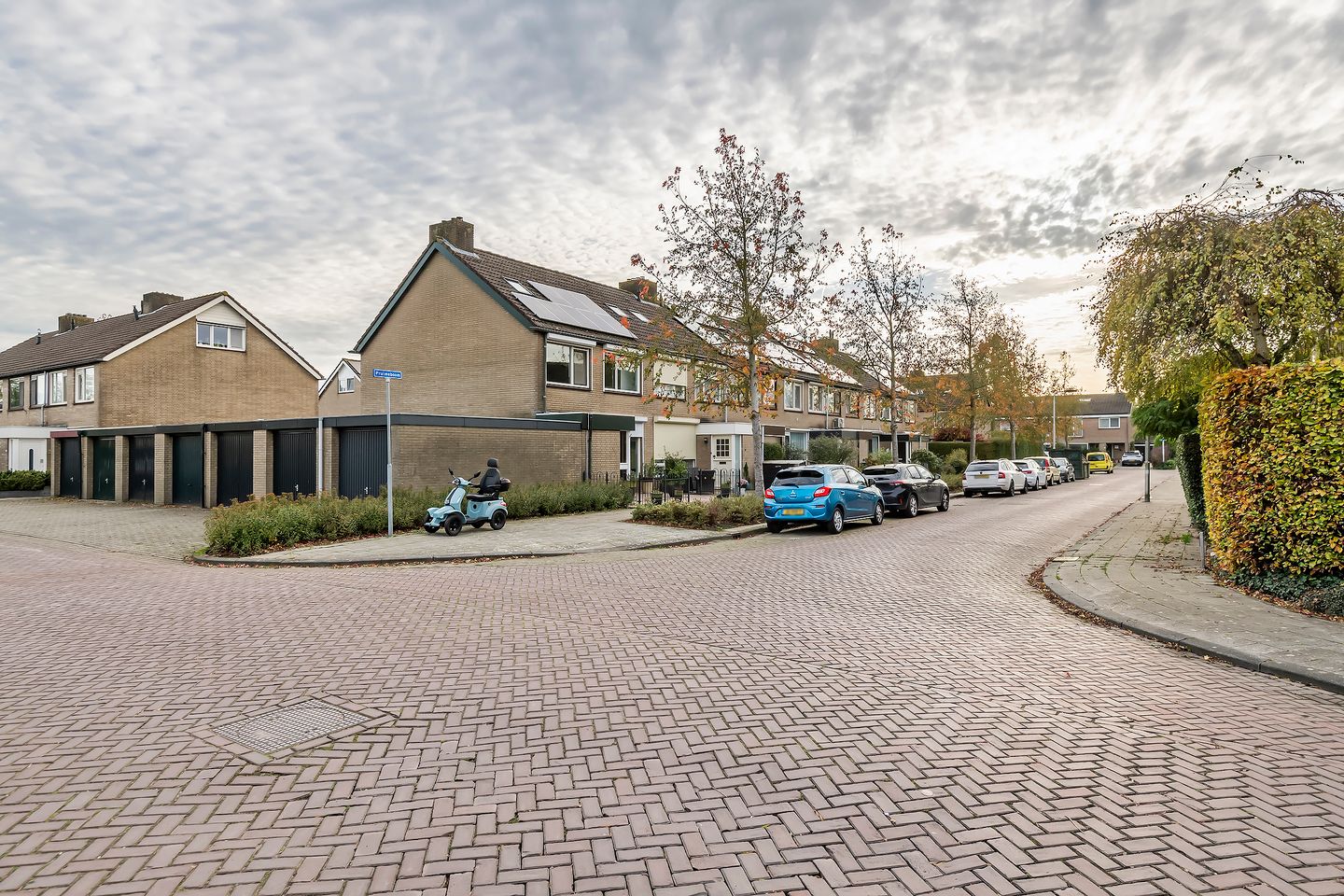 Photo 25 of Pruimeboom 2