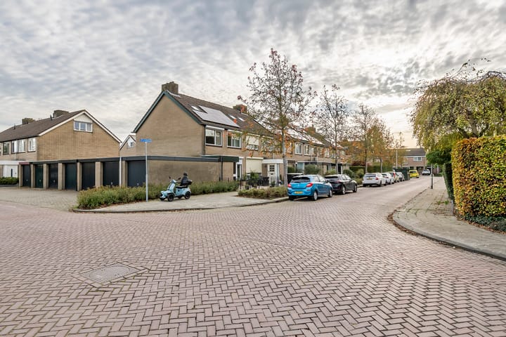 Photo 25 of Pruimeboom 2