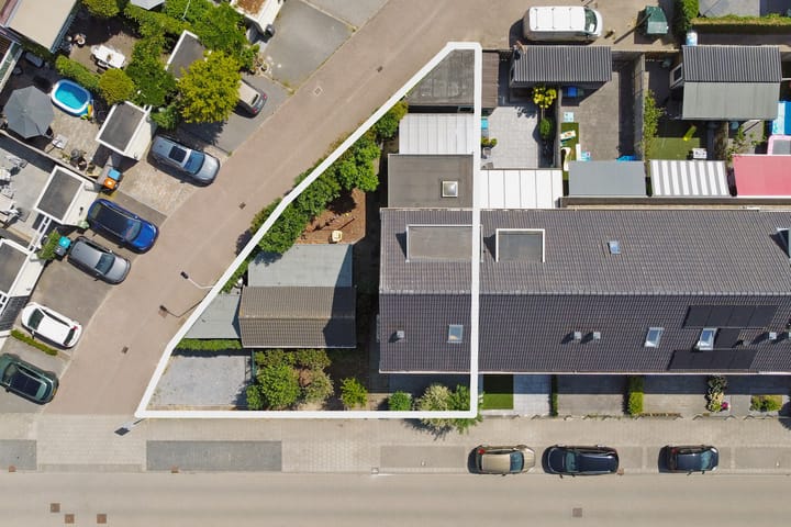 Foto 3 van Aardbeivlinder 31