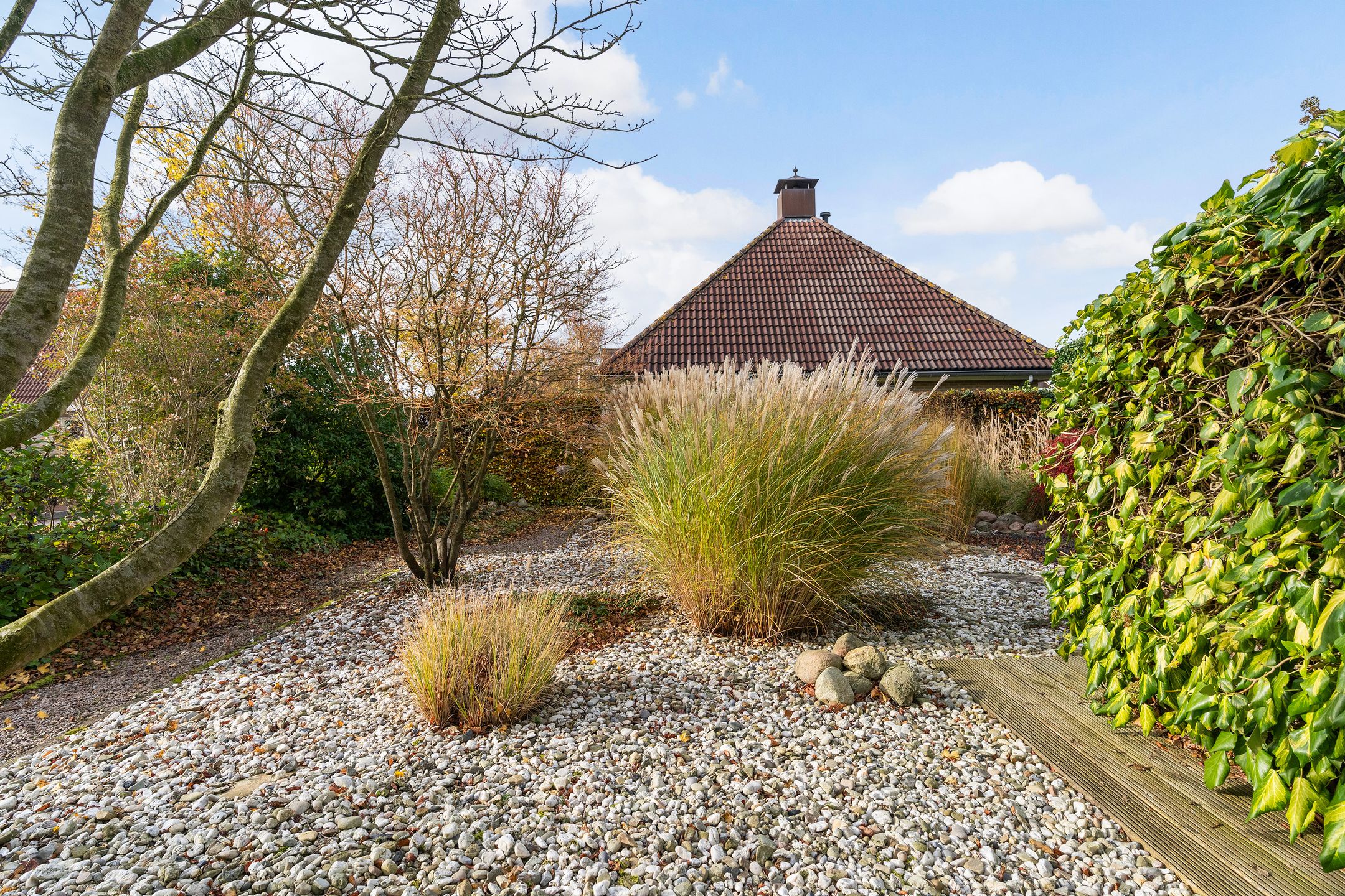 Foto 42 van It Suderheech 10