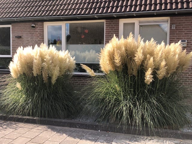 Foto 28 van Hendrik Wielengastraat 11