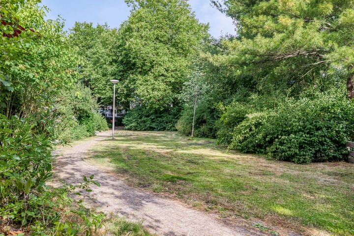 Photo 37 of Krodde 18