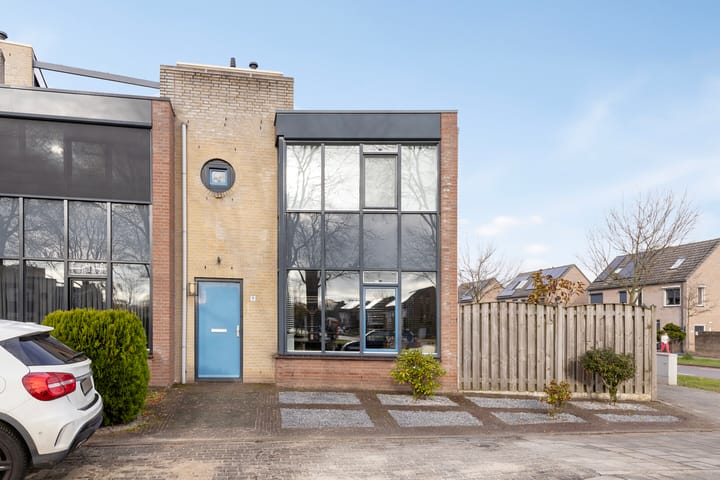 Foto 2 van Penningkruid 9