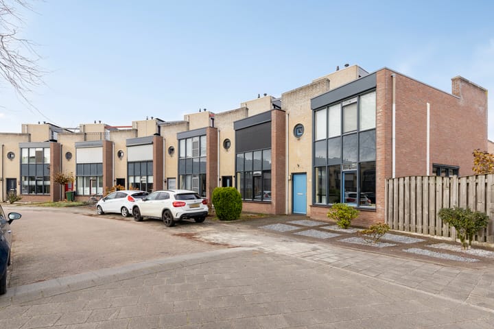 Foto 3 van Penningkruid 9