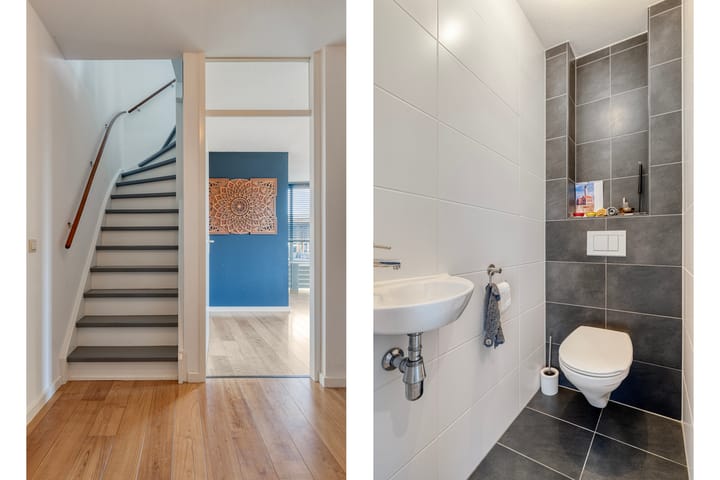 Foto 5 van Penningkruid 9