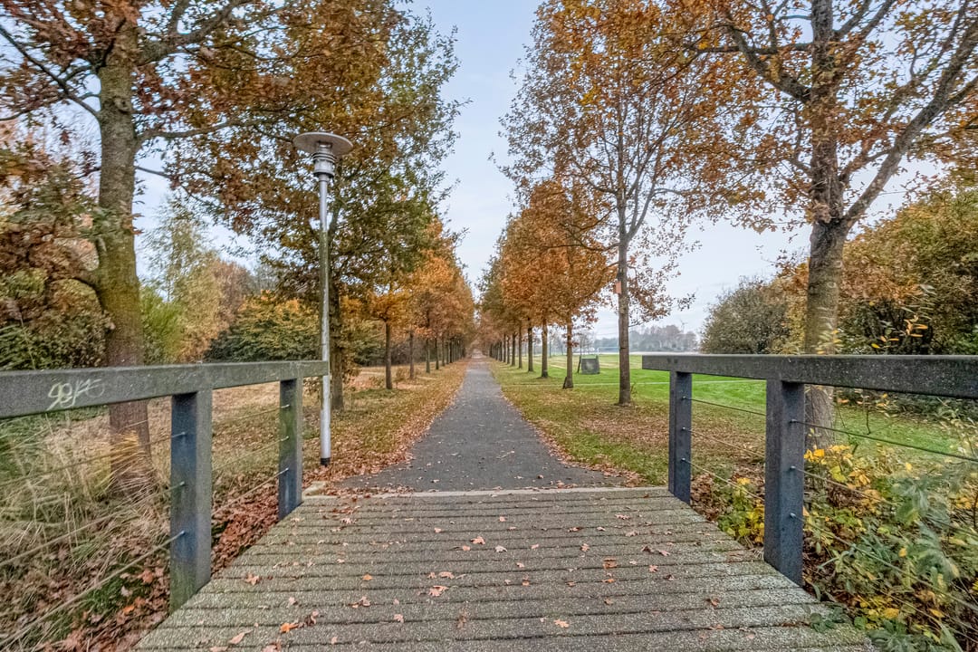 Foto 41 van Cavaljéstraat 39