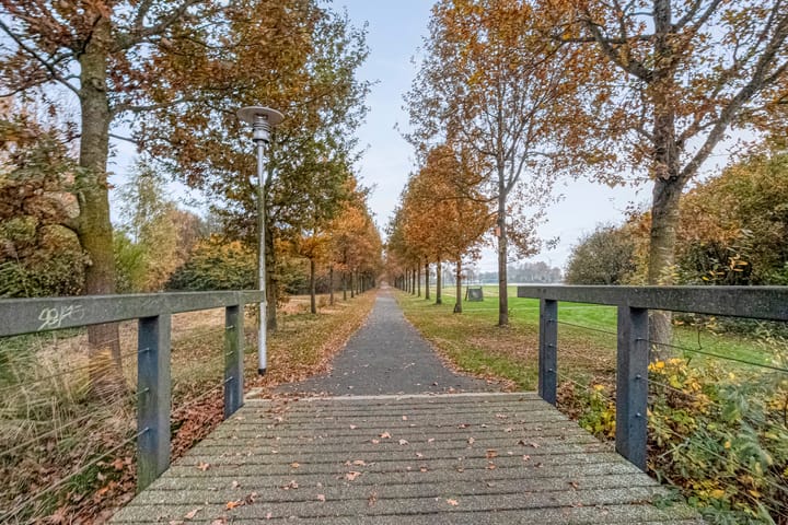 Photo 41 of Cavaljéstraat 39