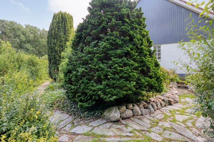 Foto 53 van Wessel Gansfortlaan 2