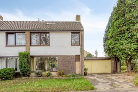 undefined main image