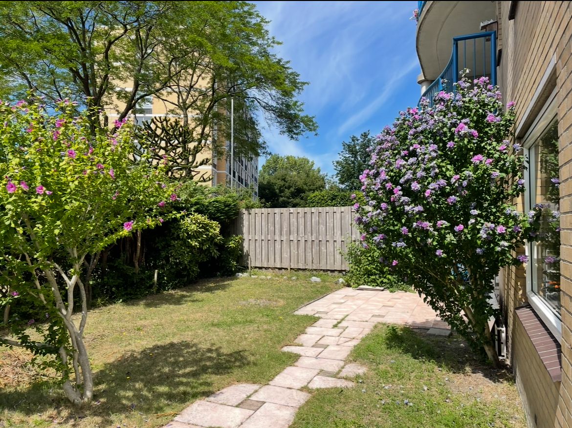 Louis Davidsstraat, 174, Den Haag, 2551DZ, Zuid-Holland, Nederland 174 