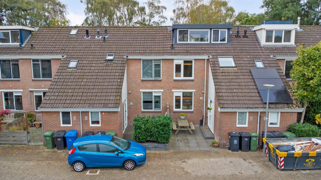 Foto 26 van Witte Klaver 30