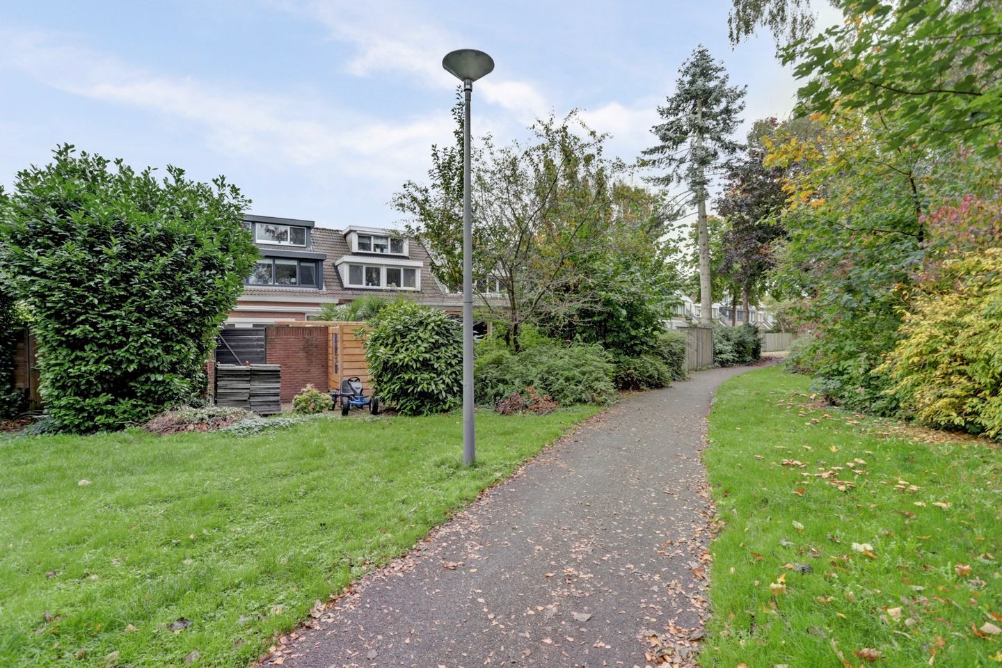 Foto 29 van Witte Klaver 30