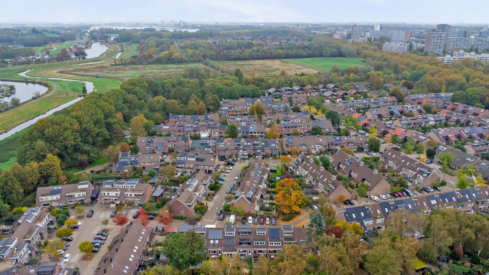 Foto 30 van Witte Klaver 30