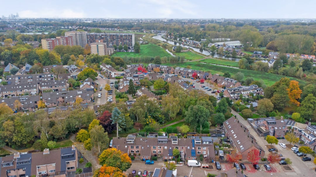 Foto 31 van Witte Klaver 30