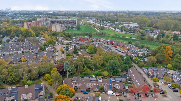 Photo 31 of Witte Klaver 30