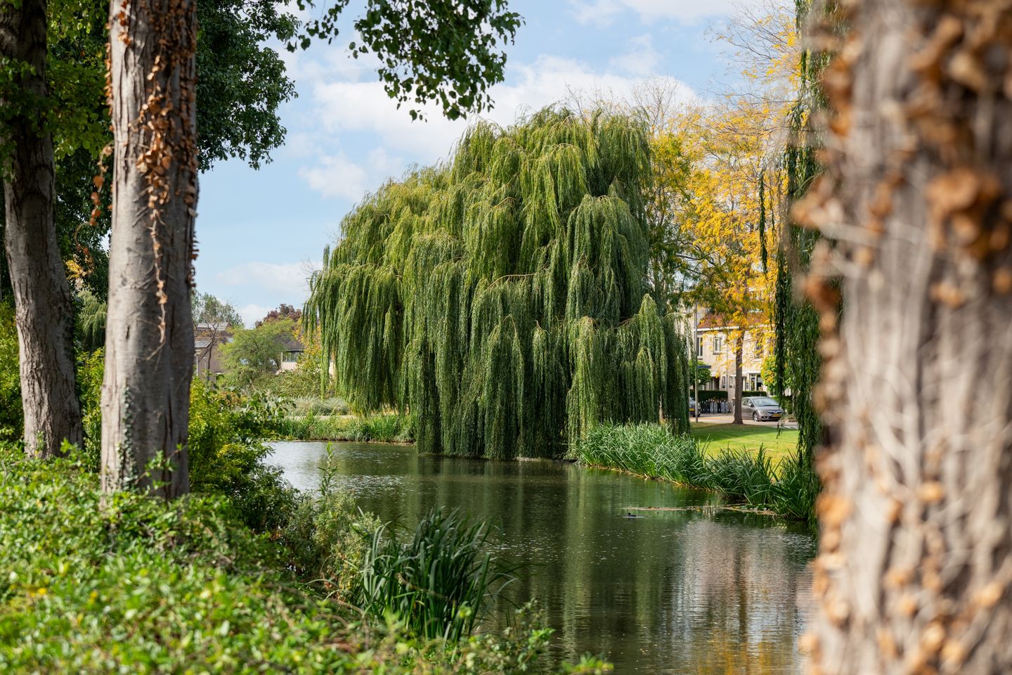 Foto 5 van Landheer 60