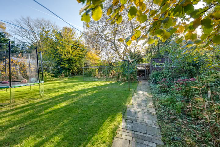 Photo 39 of Meester Bierensweg 50