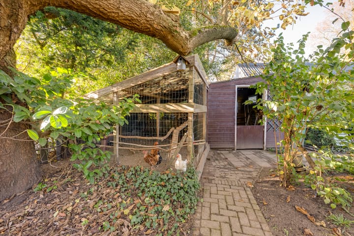 Photo 41 of Meester Bierensweg 50