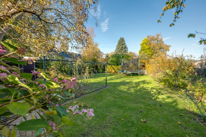 Photo 40 of Meester Bierensweg 50