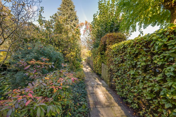 Photo 43 of Meester Bierensweg 50