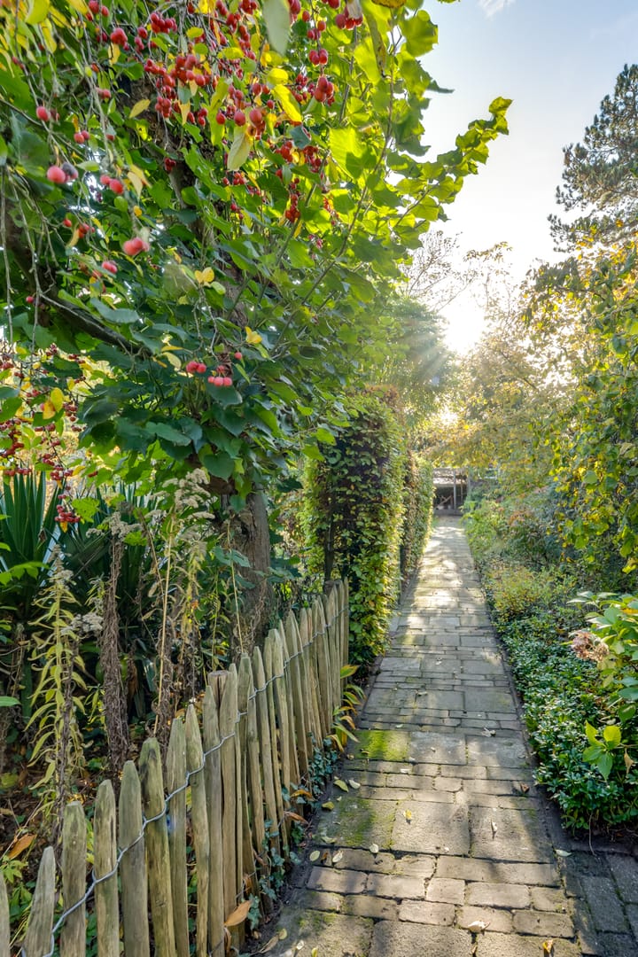 Photo 44 of Meester Bierensweg 50