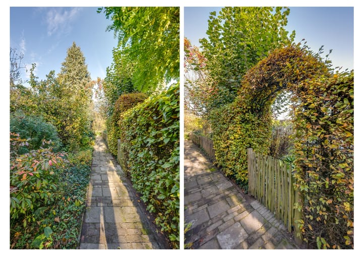 Photo 46 of Meester Bierensweg 50