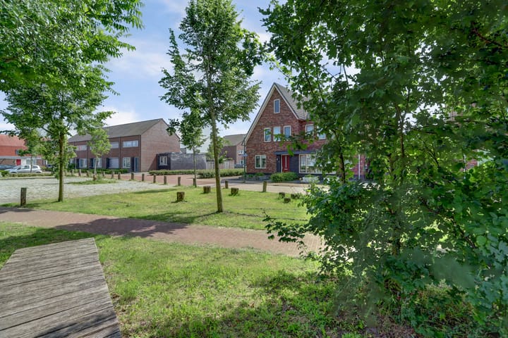 Foto 3 van de Speelman 1